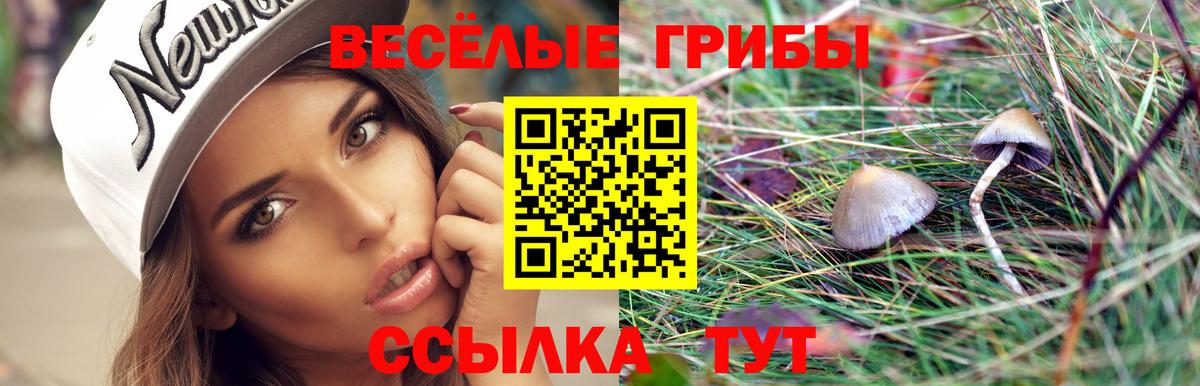 Галлюциногенные грибы Magic Shrooms  Вход с VPN  Галлюциногенные грибы GOLDEN TEACHER  закладка  Аша 